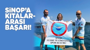 sinoipkitalararasibasari