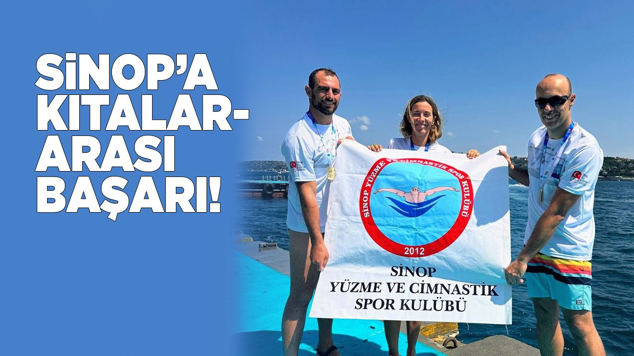 sinoipkitalararasibasari