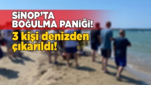 sinopbgulmoa
