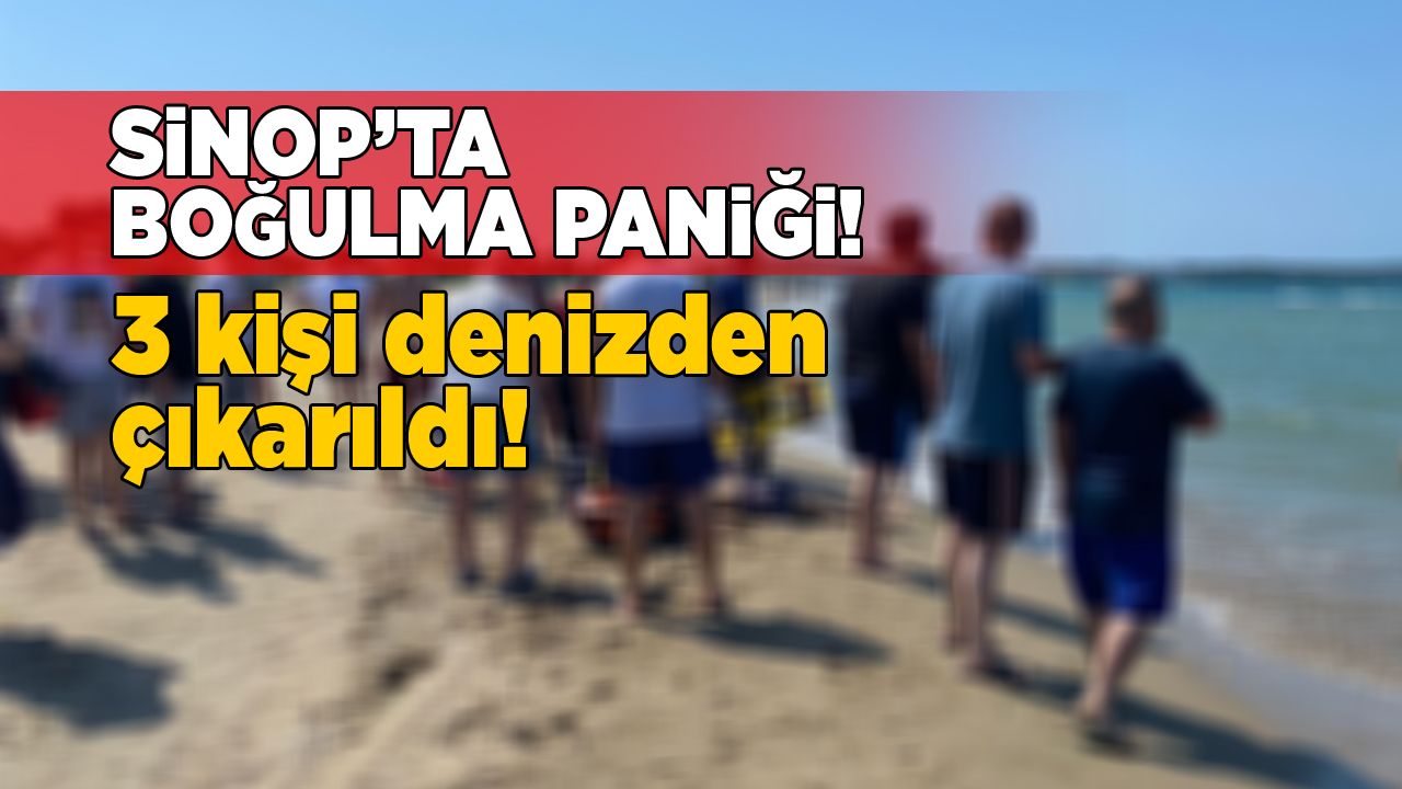 sinopbgulmoa