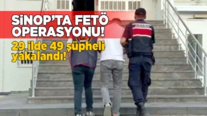 sinopfeto