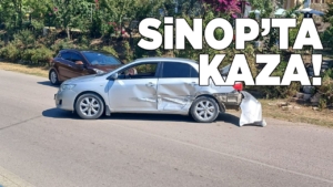 sinopkaza-7