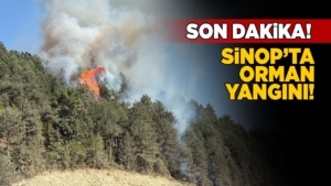 sinopormanyangin