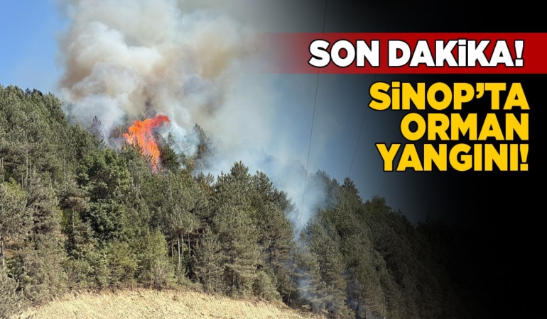 Sinop’ta orman yangını: Müdahale sürüyor