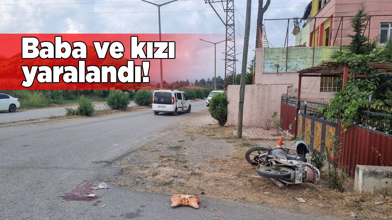 sinopsamsunbabakiz