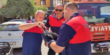 sinopta-catidaki-aglara-takilan-guvercini-itfaiye-kurtardi