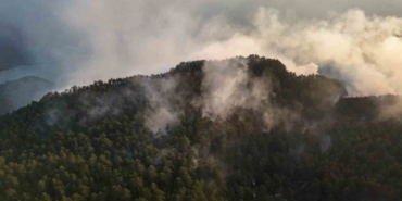 sinoptaki-orman-yangini-kontrol-altina-alindi-sogutma-calismalari-devam-ediyor