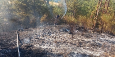 sinoptaki-orman-yanginina-mudahale-ediliyor