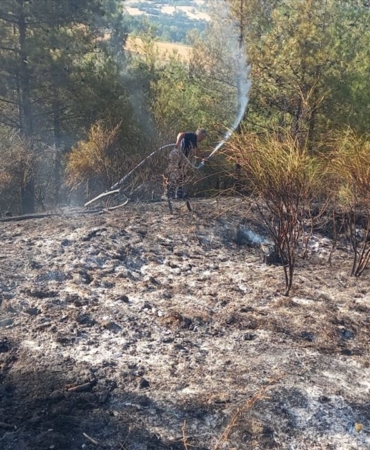 sinoptaki-orman-yanginina-mudahale-ediliyor