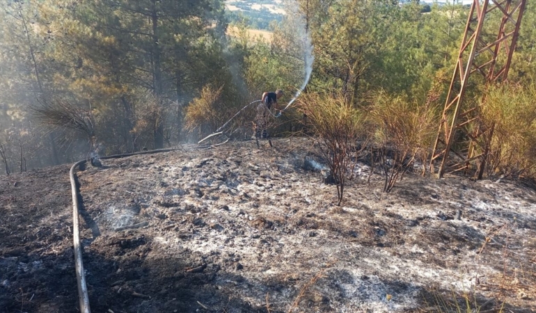 Sinop’taki orman yangınına müdahale ediliyor