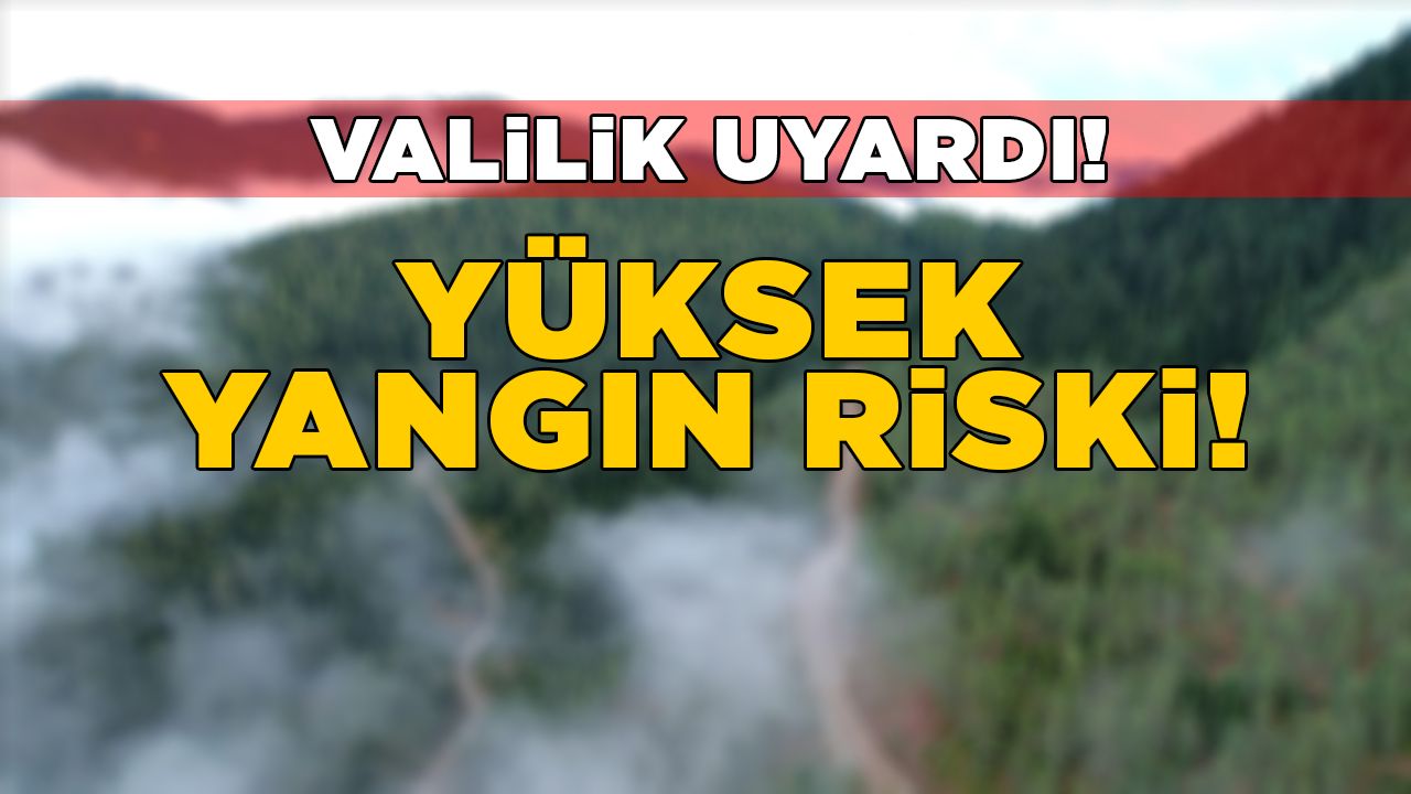 sinopvalilikuyarid