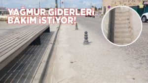 sinopyagmurgiderleri