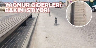 sinopyagmurgiderleri