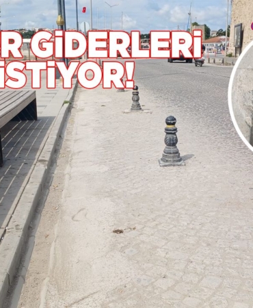 sinopyagmurgiderleri