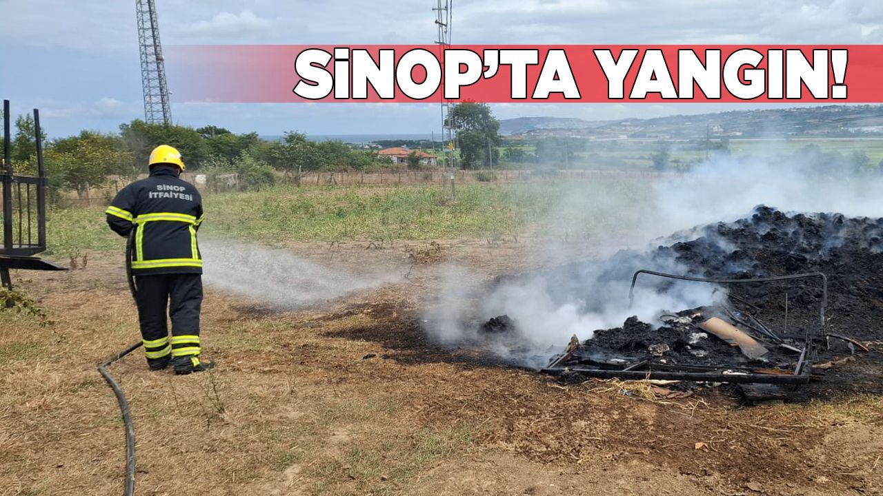 sinopyangindibekli