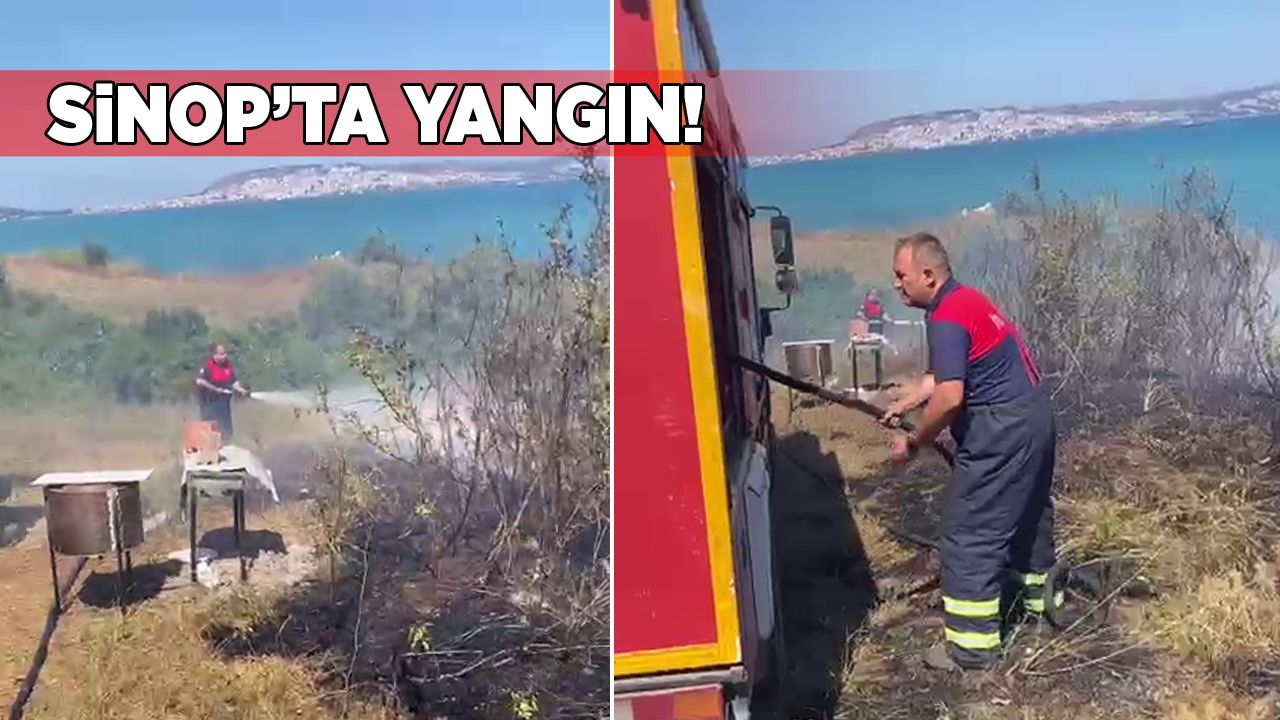 sinopyanginkorucuk