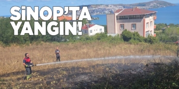 sinopyanginkorucuk27082025-1