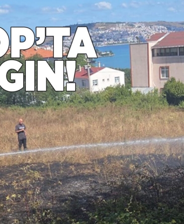 sinopyanginkorucuk27082025-1