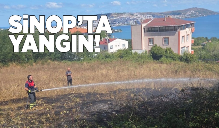 Sinop’ta otluk alanda yangın çıktı