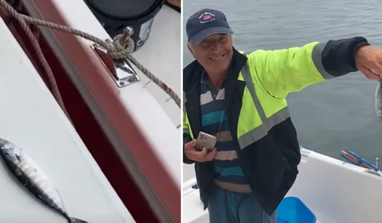 Ordu kıyılarında palamut mesaisi erken başladı