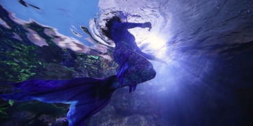 trabzon-akvaryumda-deniz-kizi-gosterisi