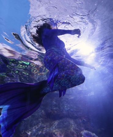 trabzon-akvaryumda-deniz-kizi-gosterisi