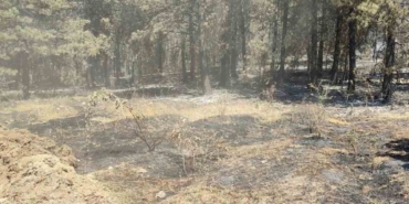 vali-ozarslan-yangin-nedeniyle-tahliye-edilenler-koylerine-donebilir