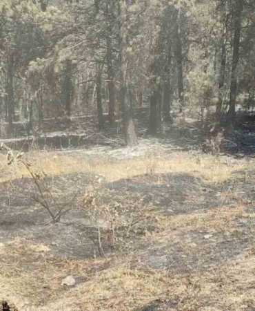 vali-ozarslan-yangin-nedeniyle-tahliye-edilenler-koylerine-donebilir