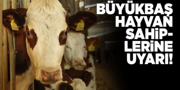 valilikbuyukbasuyari