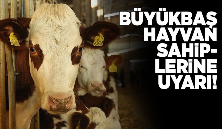 valilikbuyukbasuyari