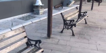 vlcsnap-2025-08-12-15h27m51s770