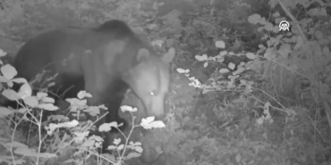 vlcsnap-2025-08-26-10h48m05s685