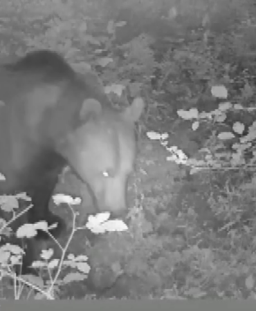 vlcsnap-2025-08-26-10h48m05s685