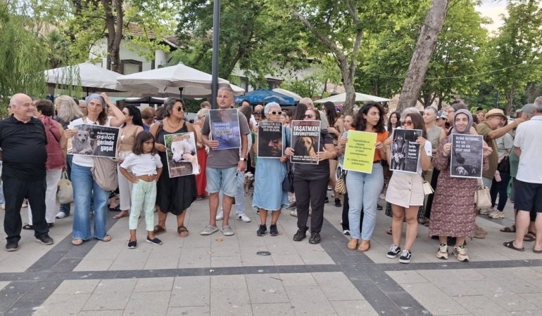 Sokak hayvanlarının yaşam koşullarına yönelik basın açıklaması