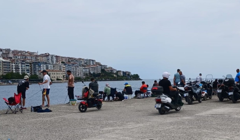 Balıklar kıyıya vurdu, vatandaş sahile akın etti