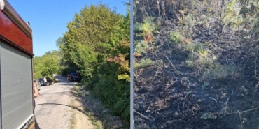 whatsapp-image-2025-08-06-at-185703