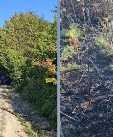 whatsapp-image-2025-08-06-at-185703