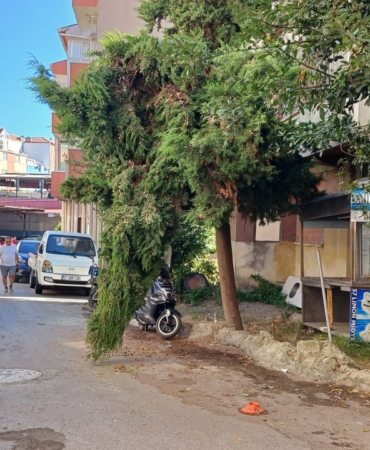 whatsapp-image-2025-08-17-at-171030