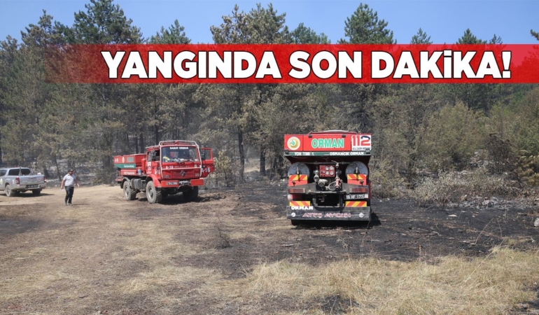 Sinop’taki orman yangınında son durum ne?
