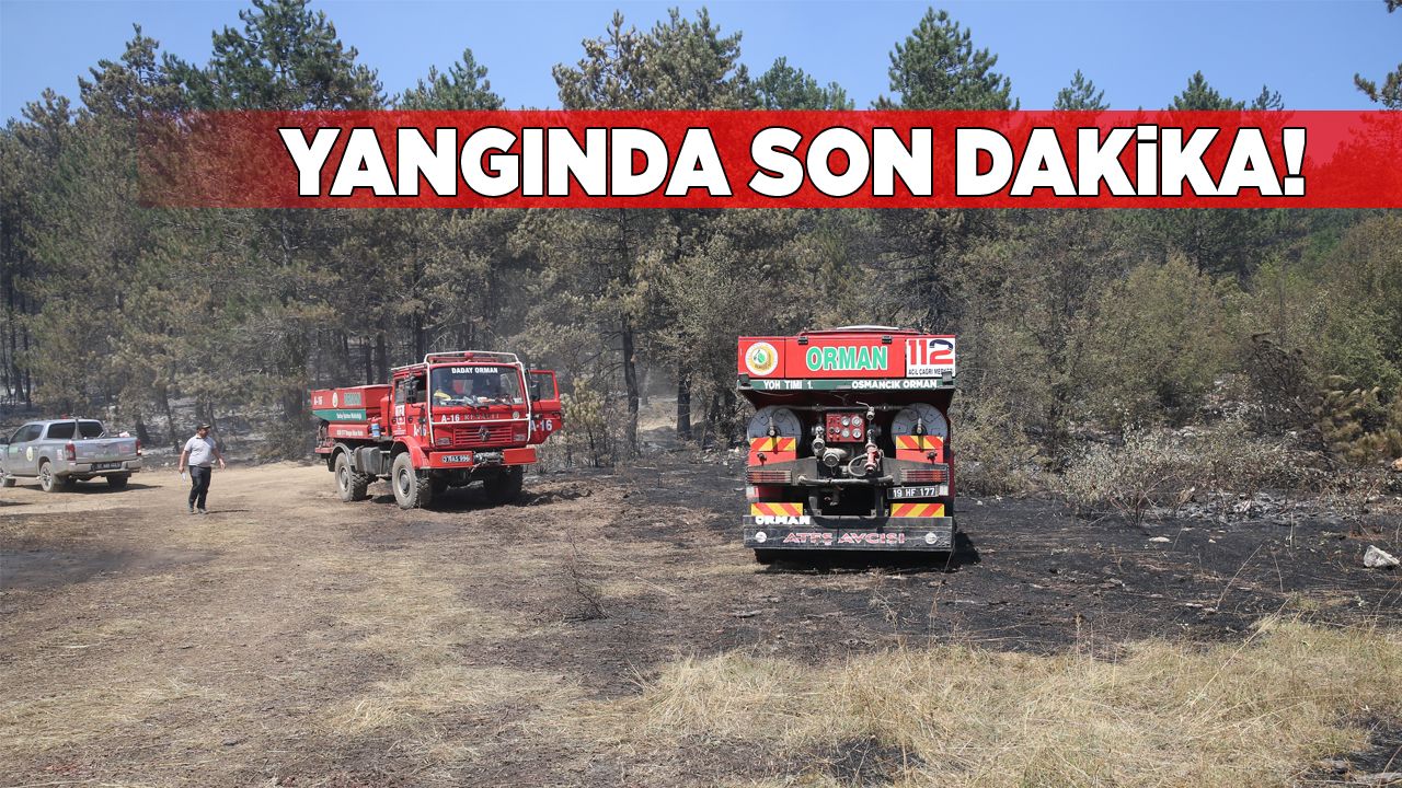 yangindasondakika