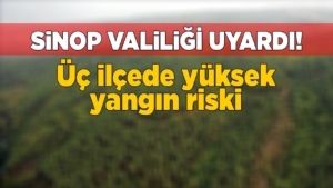 yanginriski-1
