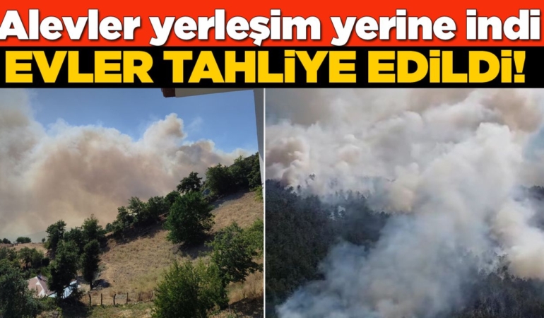 Sinop’ta orman yangını: Evler tahliye edildi!