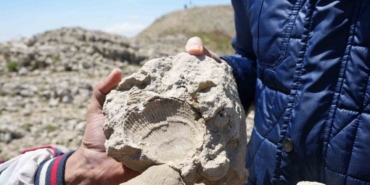 2-bin-587-rakimli-dagda-deniz-fosilleri-bulundu