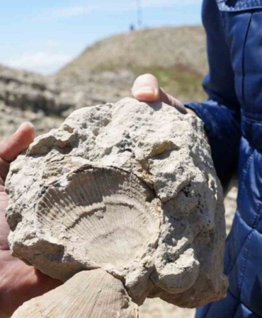 2-bin-587-rakimli-dagda-deniz-fosilleri-bulundu