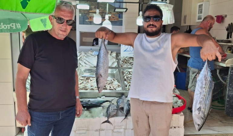 Sinop’ta 600 kasa torik avlandı