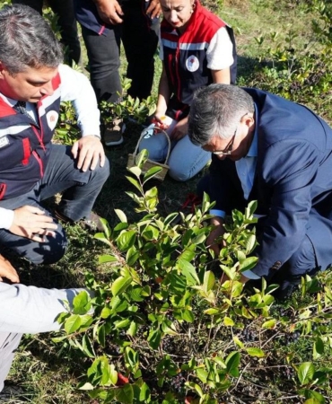 547294713-1104023161860966-434444868940951642-n