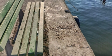 547907814-1227705026068028-4458529634158067818-n