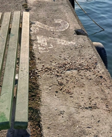 547907814-1227705026068028-4458529634158067818-n