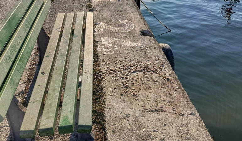 547907814-1227705026068028-4458529634158067818-n