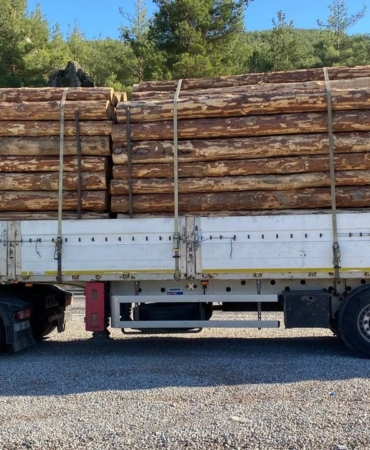 548315585-810879968138649-3472608723389312165-n